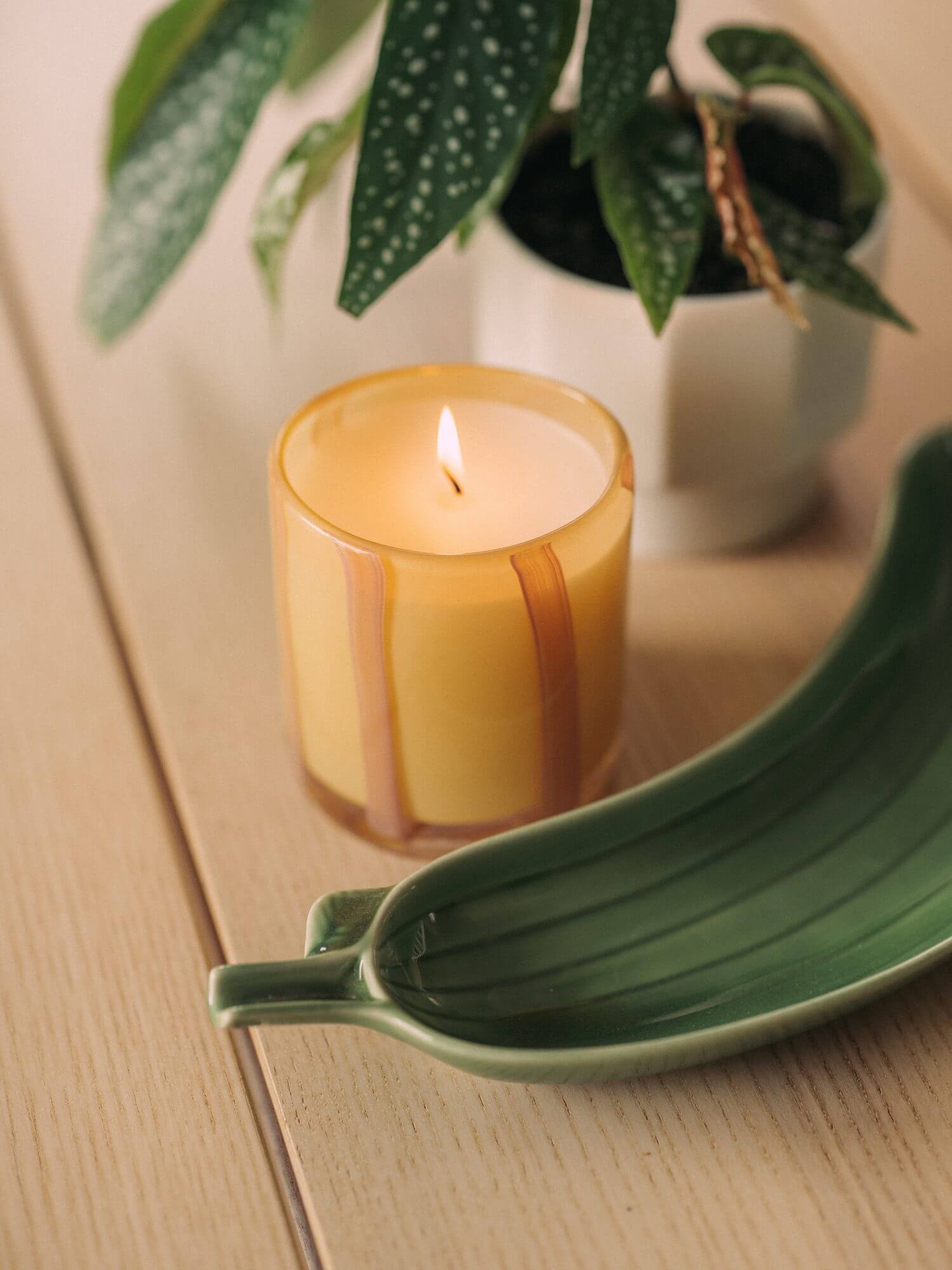 Candle, plant, and leaf-shaped tray on table.